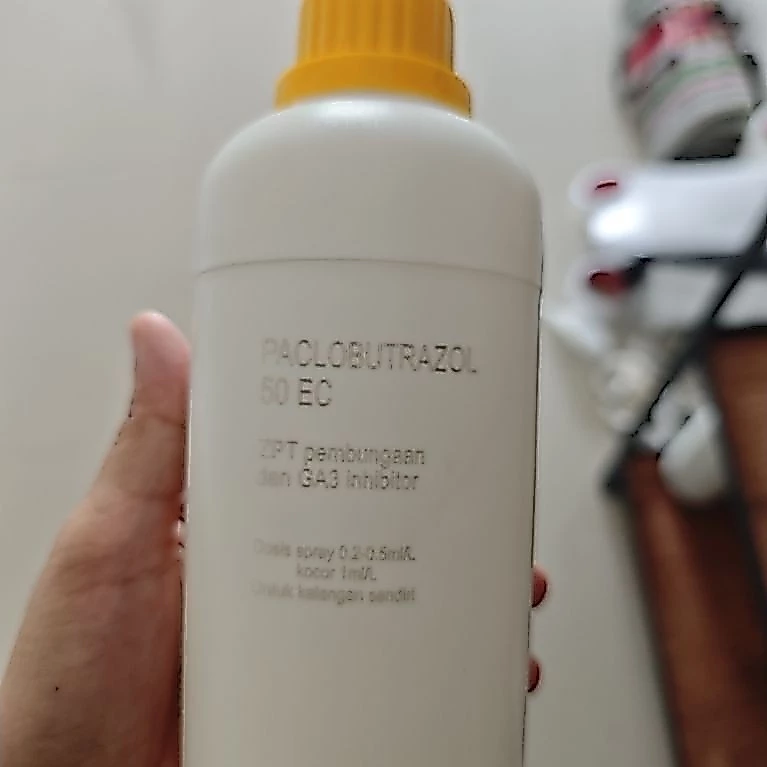 ZPT Paclobutrazol 50.000ppm